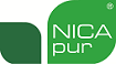 logo-nicapur